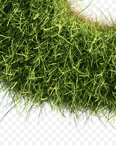 Letter U from Grass alphabet on Yellow Images Creative Fonts - S81669