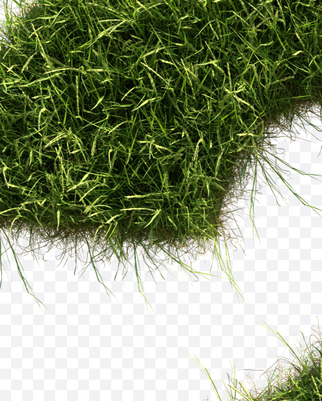 2 from Grass alphabet on Yellow Images Creative Fonts - S81641