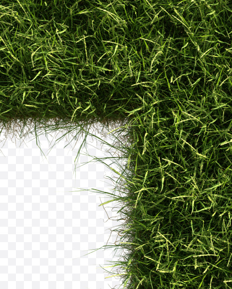 Letter T from Grass alphabet on Yellow Images Creative Fonts - S81668