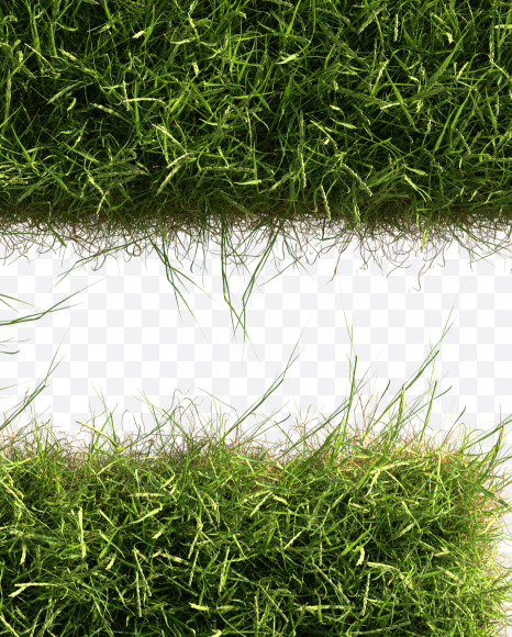 Letter F from Grass alphabet on Yellow Images Creative Fonts - S81654