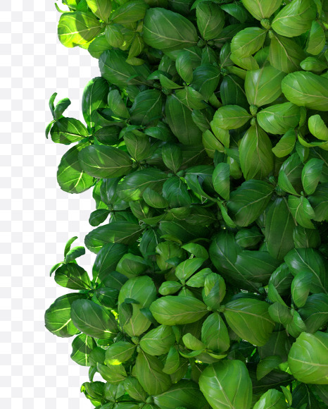 0 from Leaves font on Yellow Images Creative Fonts - S81824