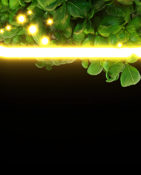 7 from Leaves font with neon and fireflies on Yellow Images Creative Fonts - S81893