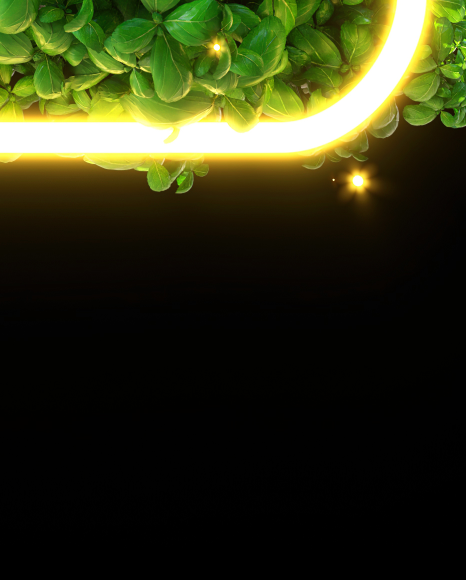 Letter X from Leaves font with neon and fireflies on Yellow Images Creative Fonts - S81884