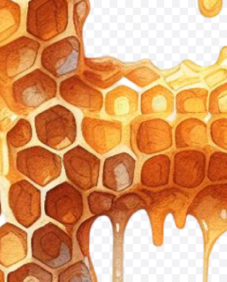 PNG-16 from Honeycomb Alphabet on Yellow Images Creative Fonts - S84173