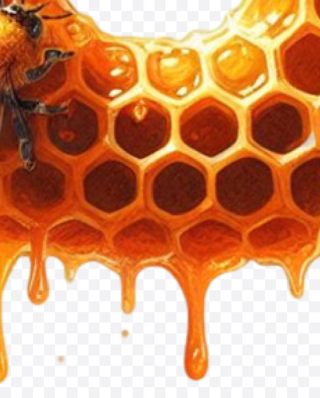 PNG-35 from Honeycomb Alphabet on Yellow Images Creative Fonts - S84162