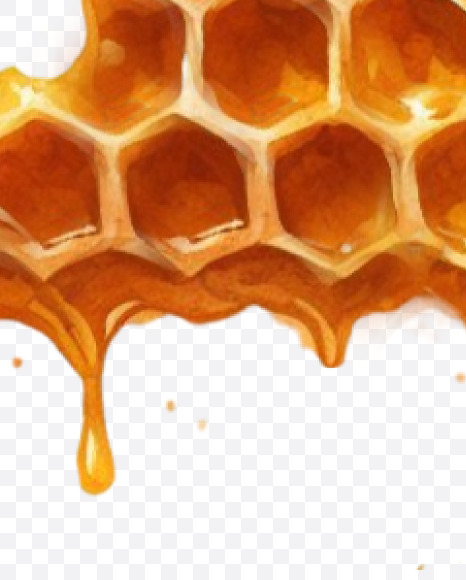 PNG-28 from Honeycomb Alphabet on Yellow Images Creative Fonts - S84158