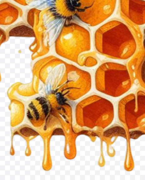 PNG-31 from Honeycomb Alphabet on Yellow Images Creative Fonts - S84163