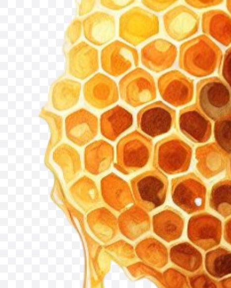 PNG-19 from Honeycomb Alphabet on Yellow Images Creative Fonts - S84176