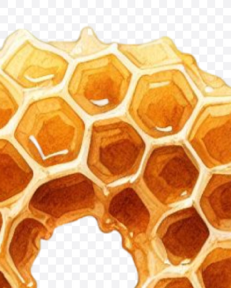 PNG-36 from Honeycomb Alphabet on Yellow Images Creative Fonts - S84155