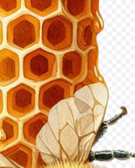 PNG-04 from Honeycomb Alphabet on Yellow Images Creative Fonts - S84180