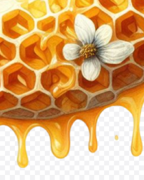 PNG-21 from Honeycomb Alphabet on Yellow Images Creative Fonts - S84174