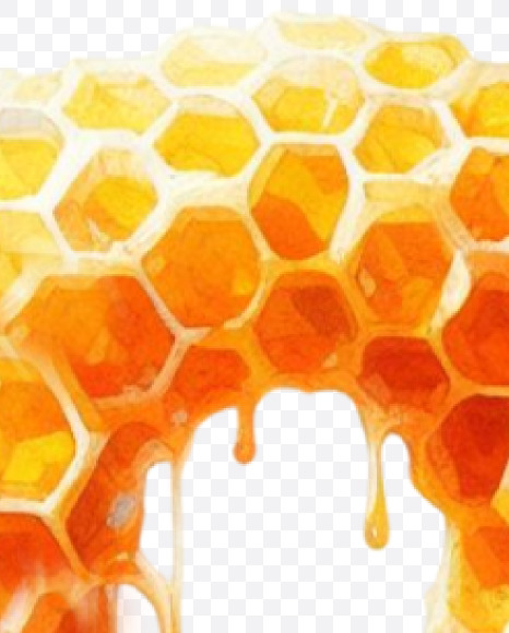 PNG-27 from Honeycomb Alphabet on Yellow Images Creative Fonts - S84157