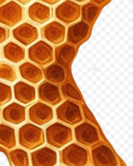 PNG-24 from Honeycomb Alphabet on Yellow Images Creative Fonts - S84160