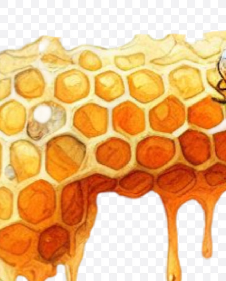 PNG-26 from Honeycomb Alphabet on Yellow Images Creative Fonts - S84156