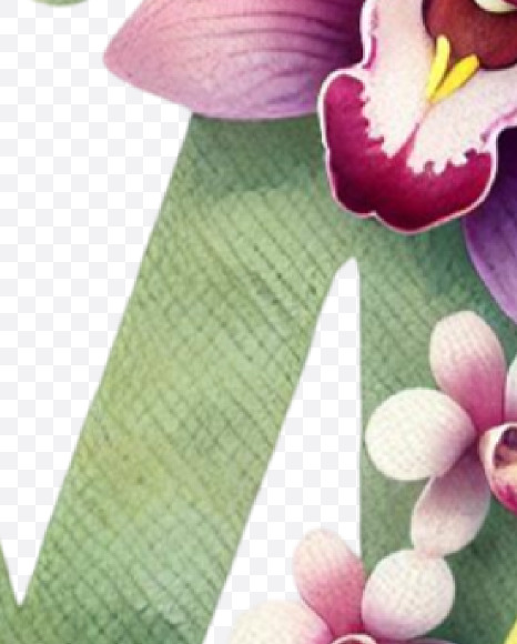Letter M from Spring Floral Alphabet on Yellow Images Creative Fonts - S84328