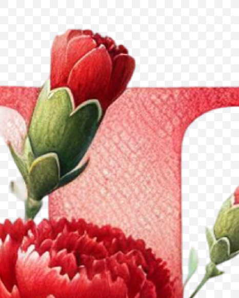 Letter K from Spring Floral Alphabet on Yellow Images Creative Fonts - S84325