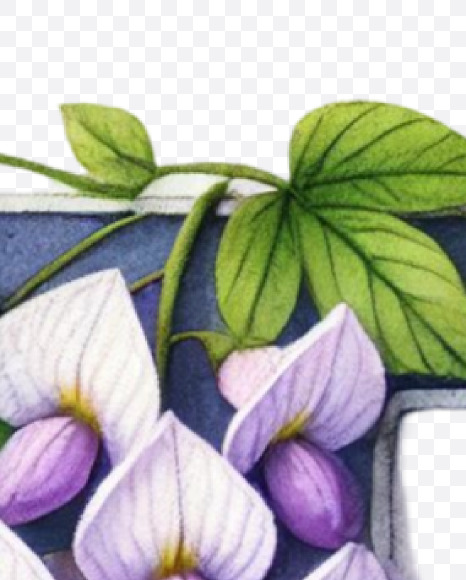 Letter F from Spring Floral Alphabet on Yellow Images Creative Fonts - S84345
