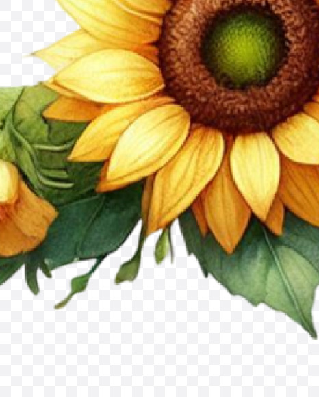Letter O from Spring Floral Alphabet on Yellow Images Creative Fonts - S84342