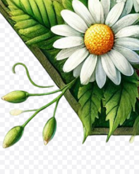 Letter N from Easter Watercolor Letters on Yellow Images Creative Fonts - S84439