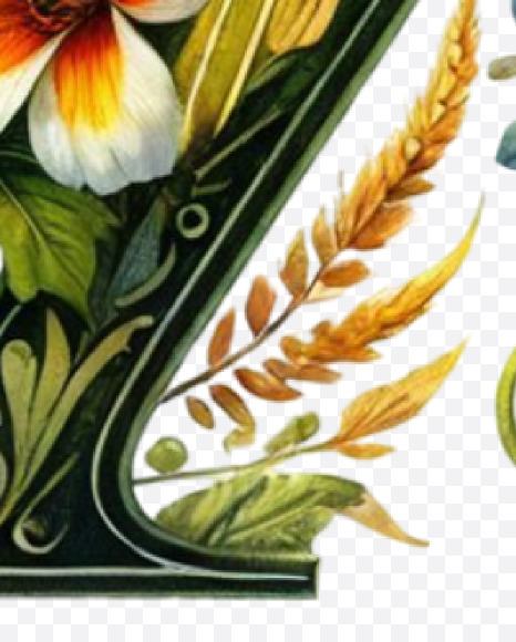 Letter X from Spring Alphabet Letters on Yellow Images Creative Fonts - S84455