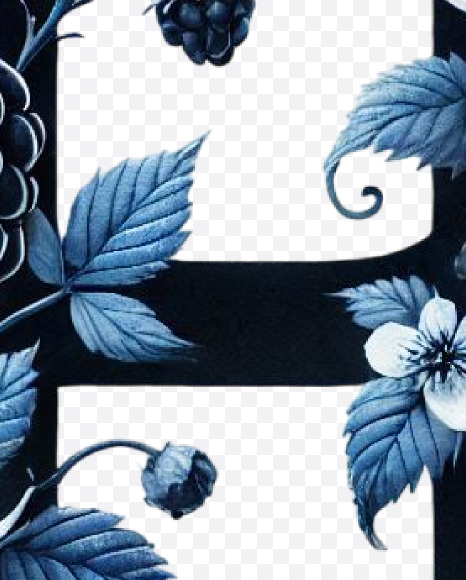 Letter H from Spring Blackberry Alphabet Letters on Yellow Images Creative Fonts - S84497