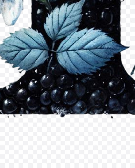 Letter I from Spring Blackberry Alphabet Letters on Yellow Images Creative Fonts - S84501