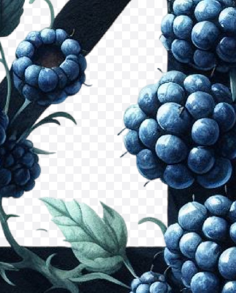4 from Spring Blackberry Alphabet Letters on Yellow Images Creative Fonts - S84503