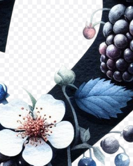2 from Spring Blackberry Alphabet Letters on Yellow Images Creative Fonts - S84500