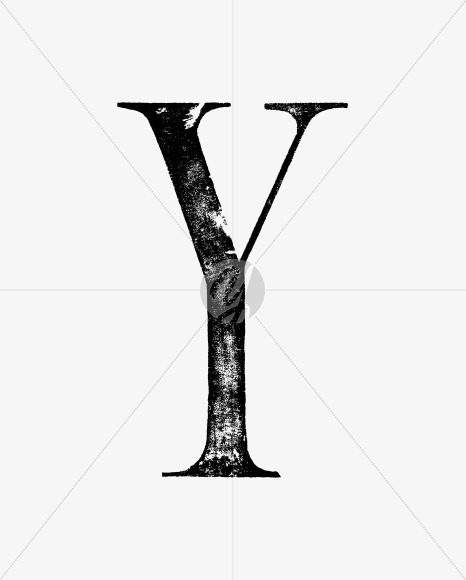Y