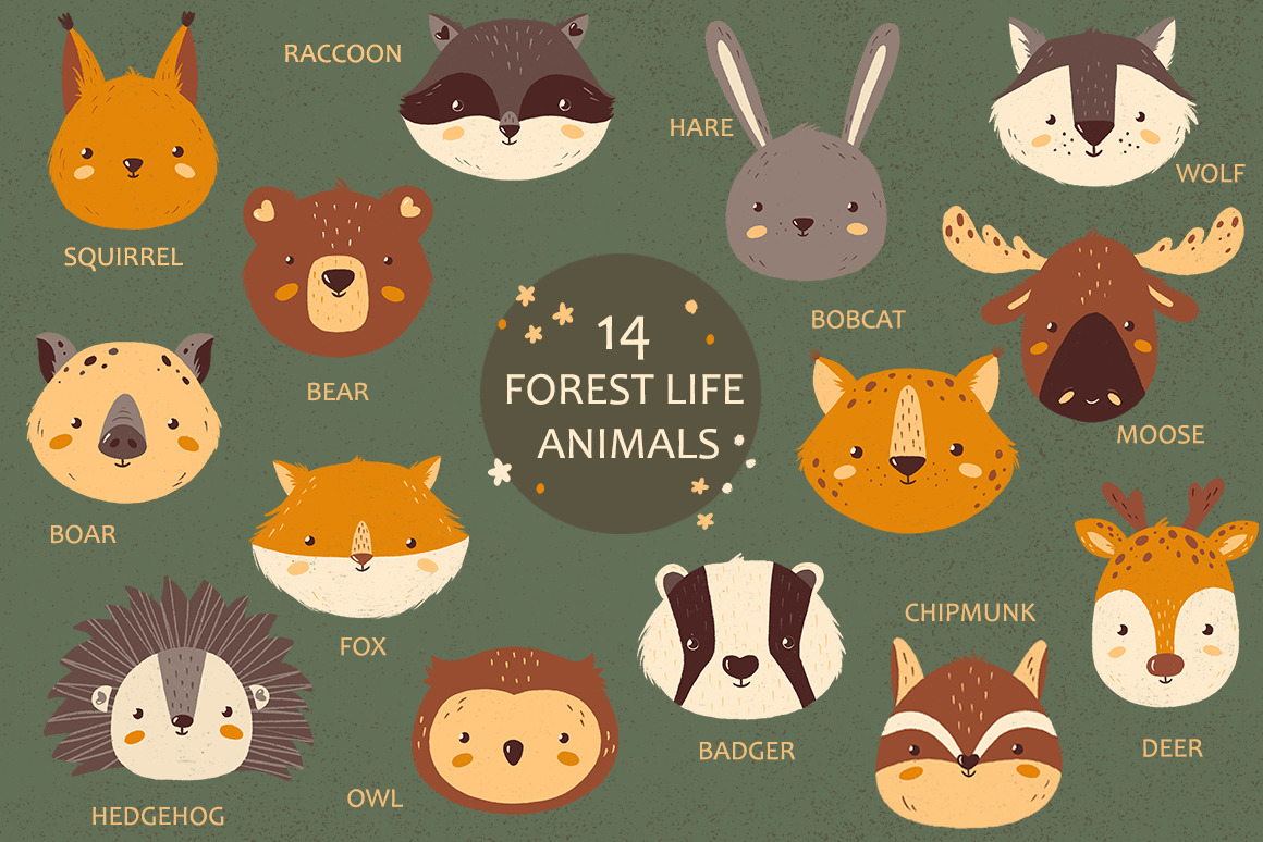 Forest Portrait Animals Set Forest Portrait Animals Set