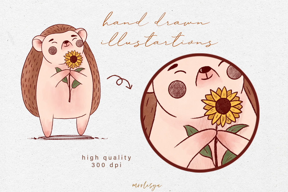 Sunflower Hedgehog • Kids-collection Sunflower Hedgehog • Kids-collection