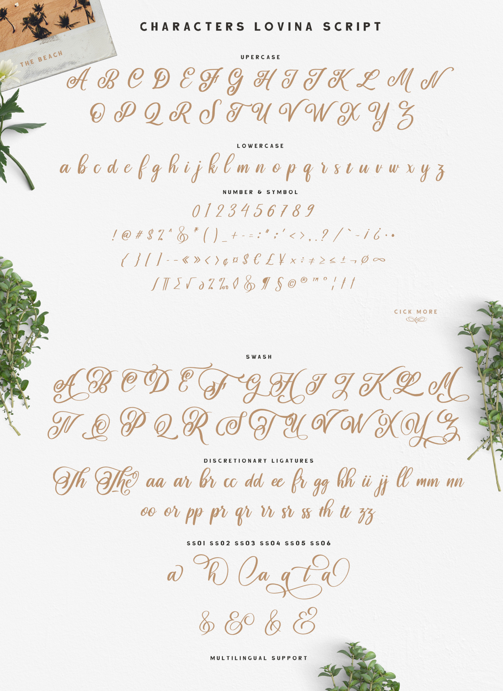 Lovina Fonts Family Lovina Fonts Family