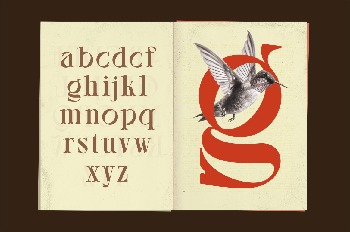 Willton - Multipurpose Display Font Willton - Multipurpose Display Font