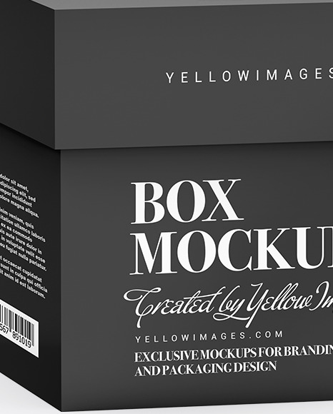 Paper Box with Label Mockup