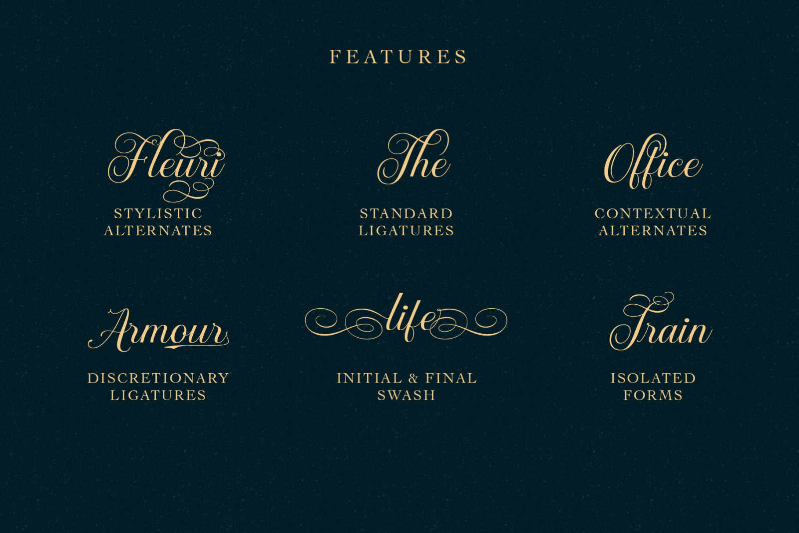 Brignola Script Brignola Script