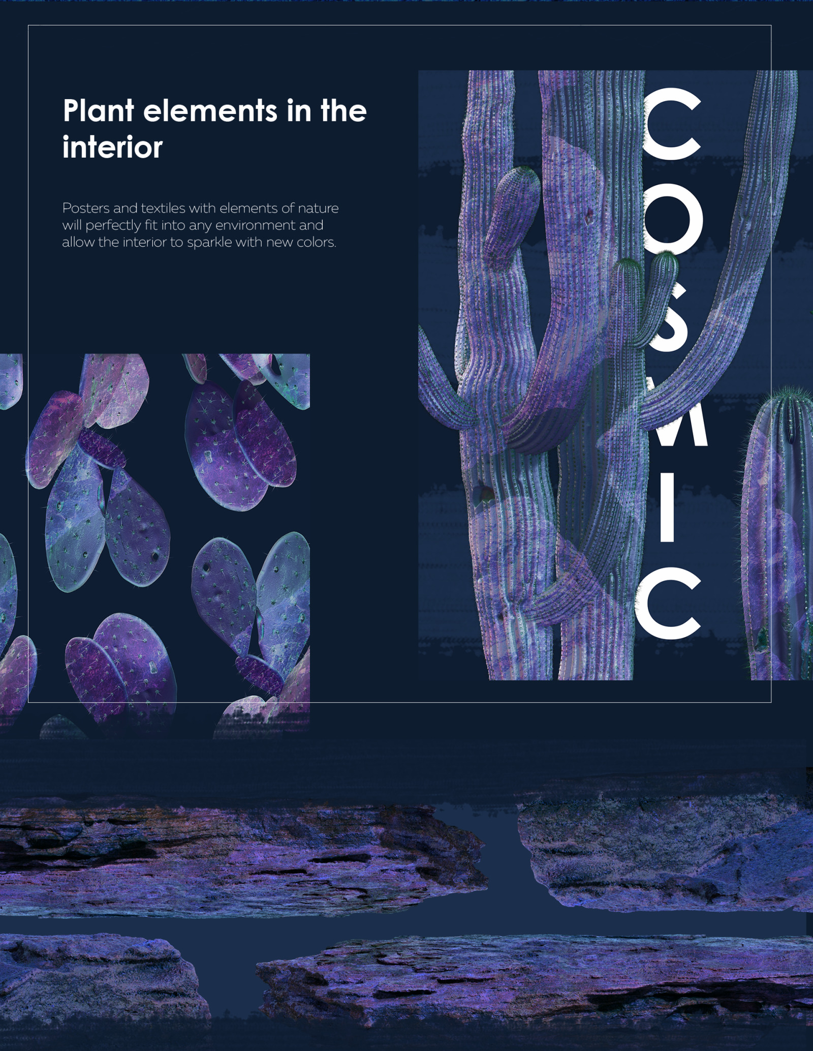 Cosmic cacti #01, 500 cactus and 120 rock mockups + 60 patterns