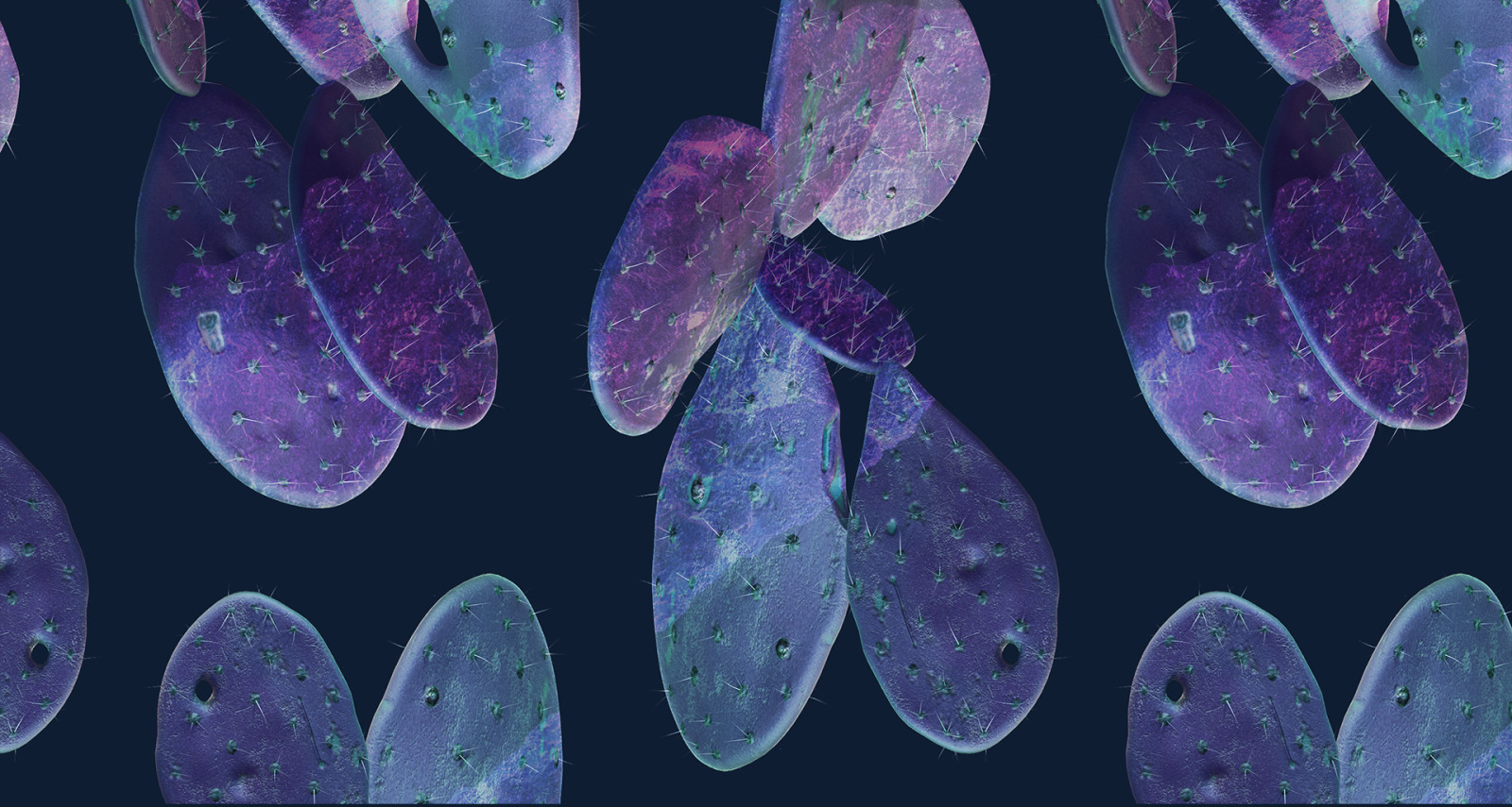 Cosmic cacti #01, 500 cactus and 120 rock mockups + 60 patterns Cosmic cacti #01, 500 cactus and 120 rock mockups + 60 patterns