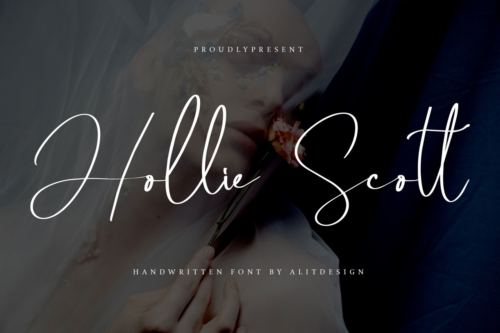 HollieScott HollieScott