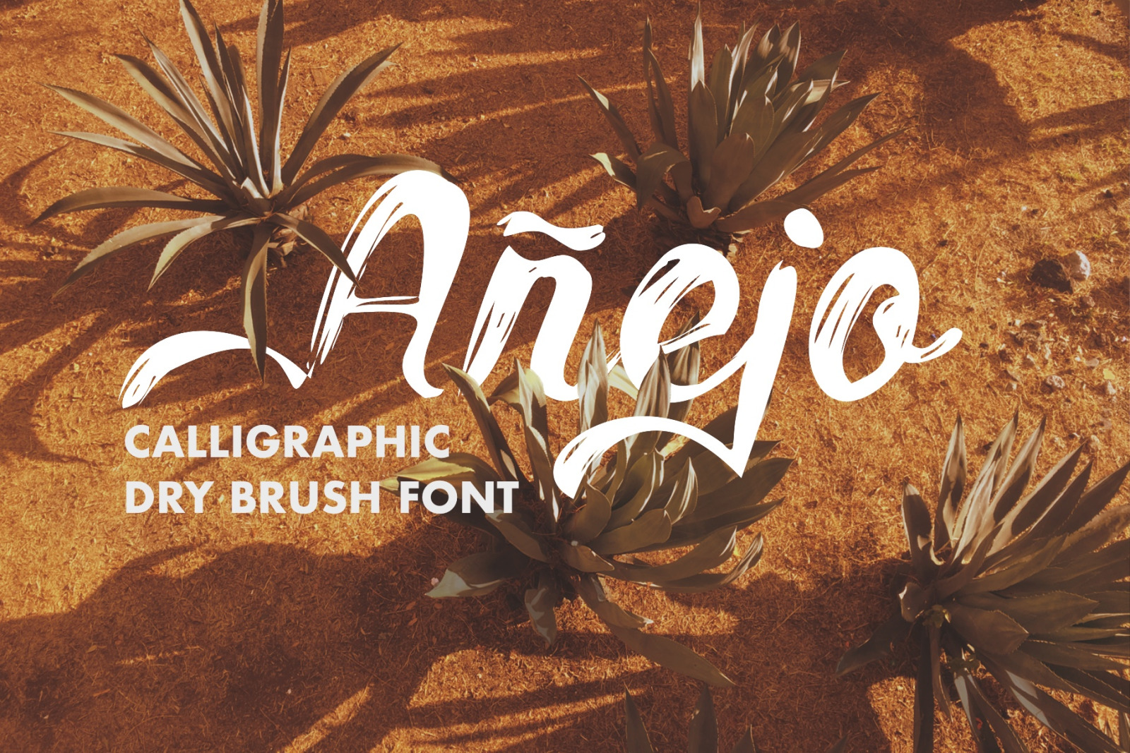 Añejo Añejo