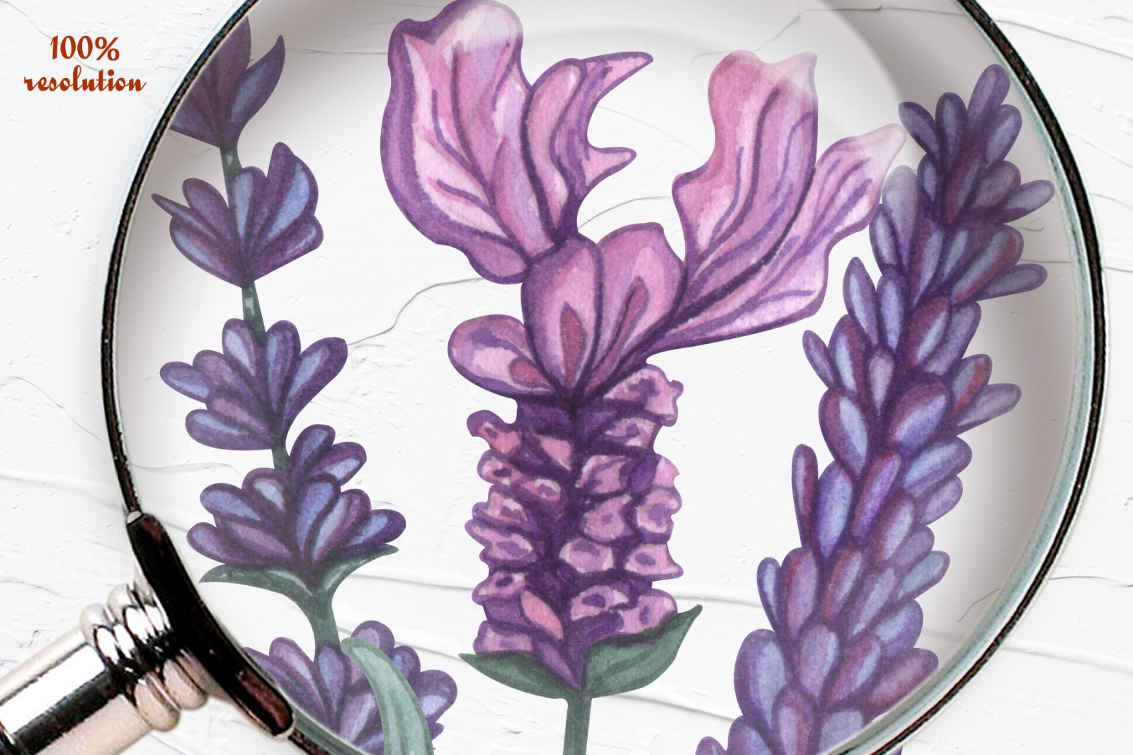 Lavender Watercolor Set
