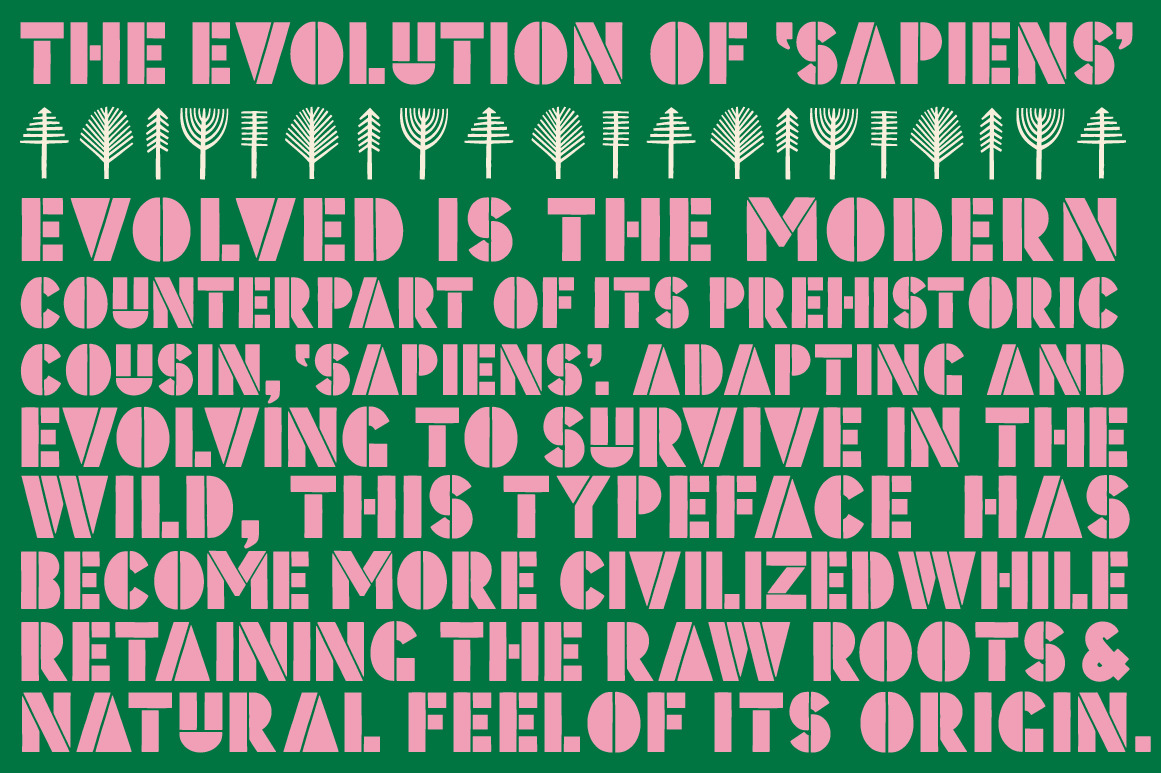 Evolved Font Family Evolved Font Family