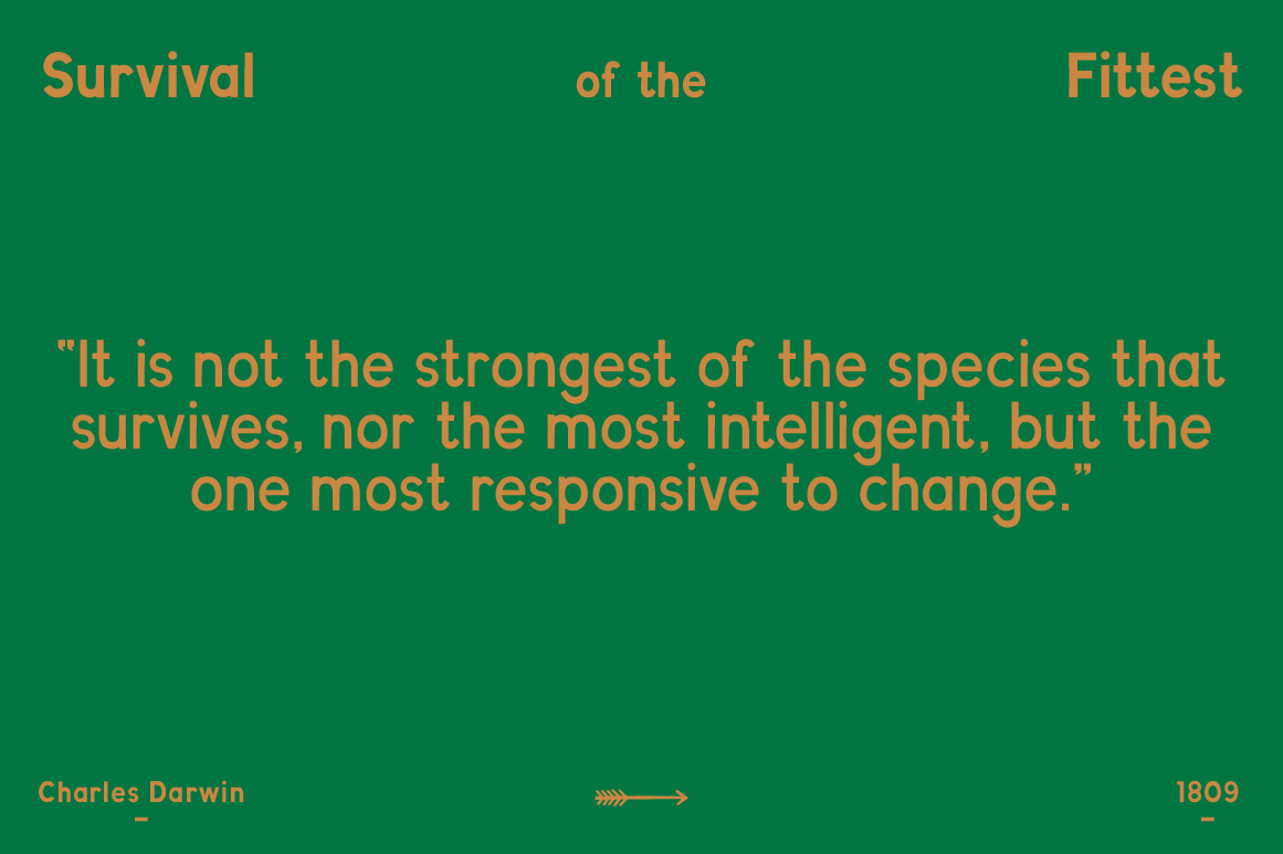 Evolved Font Family Evolved Font Family