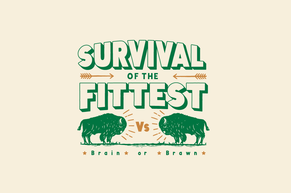 Evolved Font Family Evolved Font Family