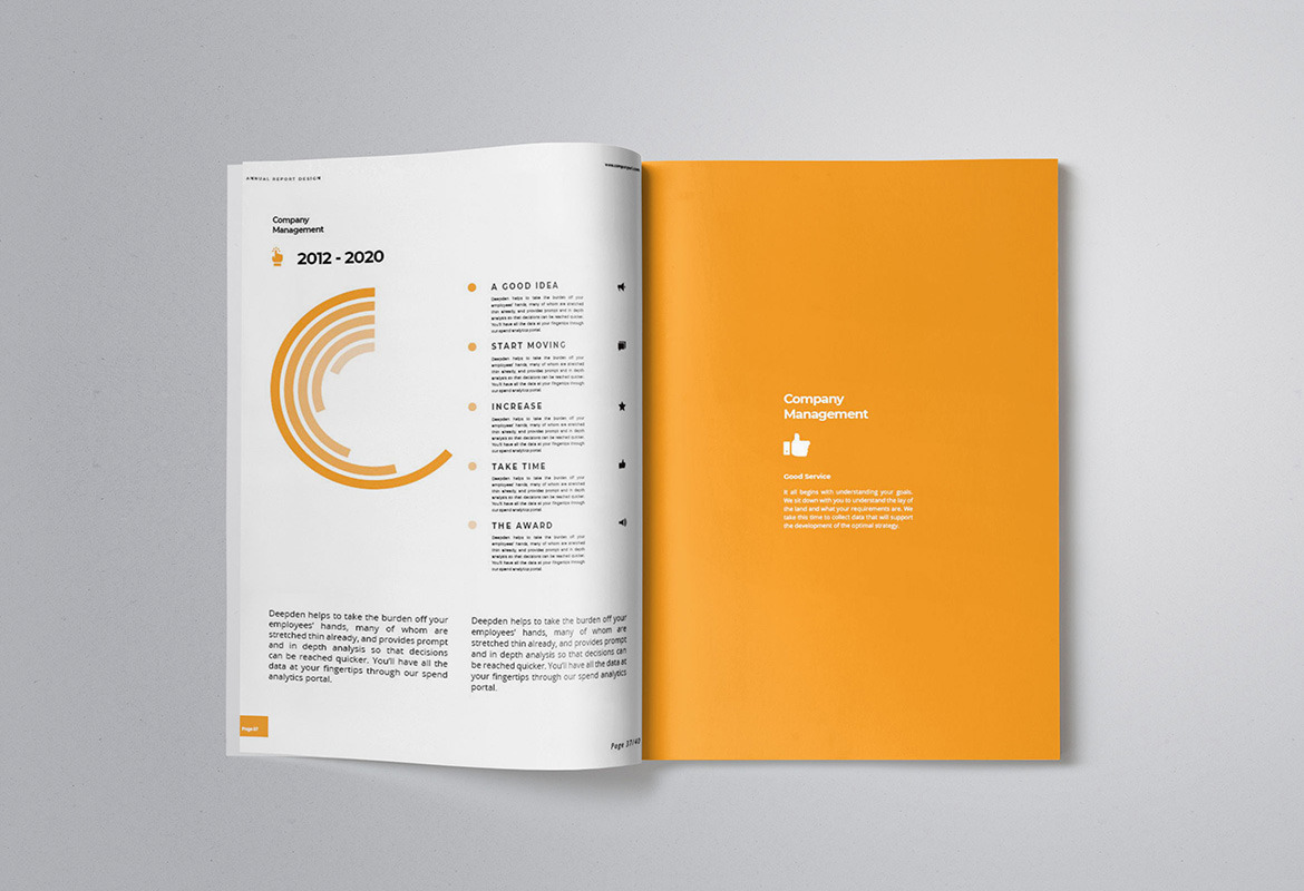 Company Annual Report Indesign Template