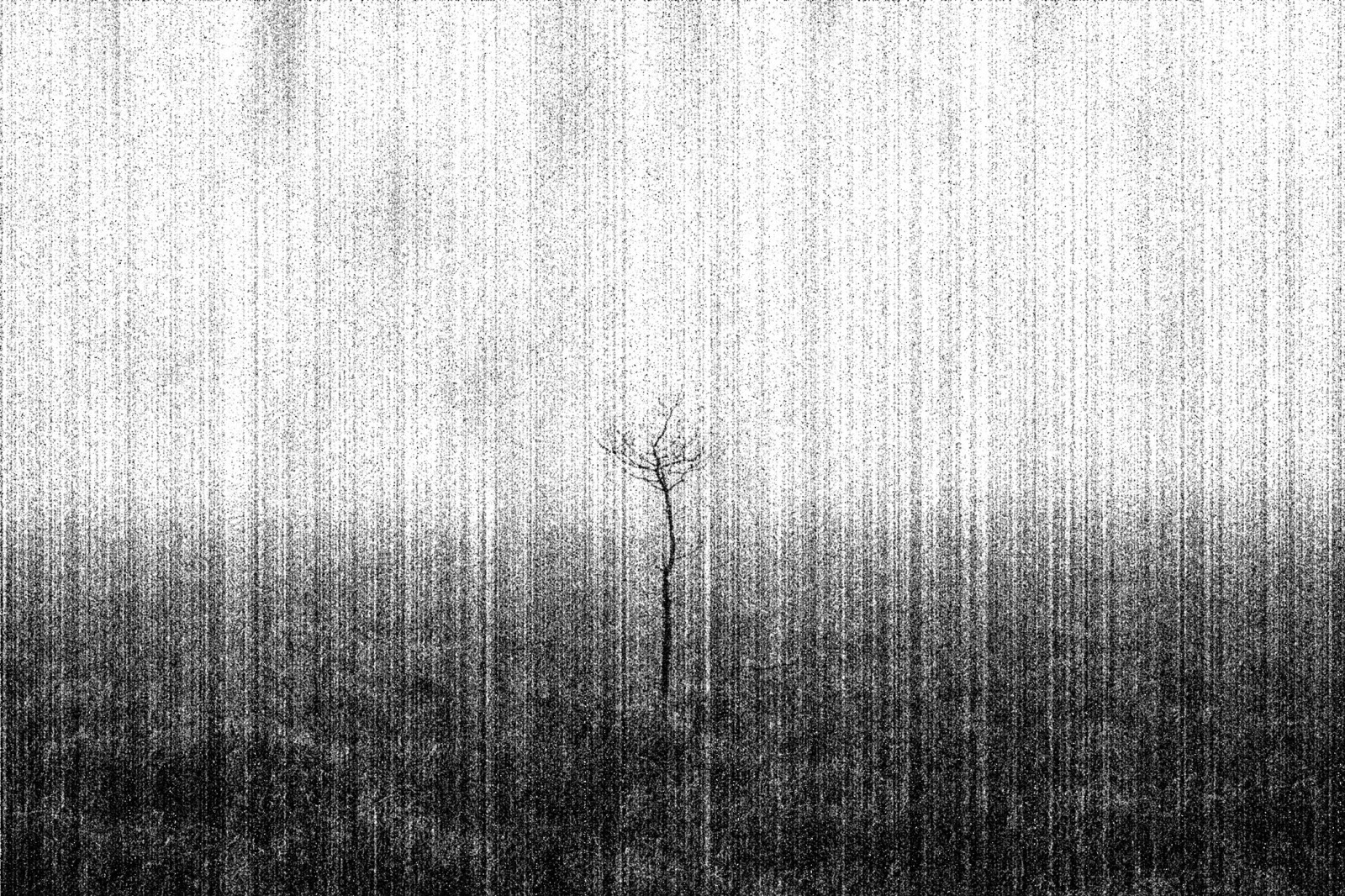 Photocopier Photoshop Effect Photocopier Photoshop Effect
