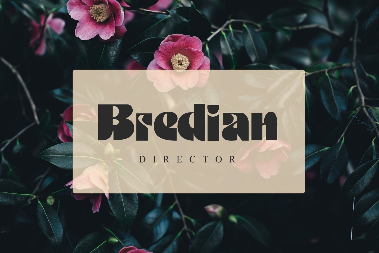 Kalinda Font Kalinda Font
