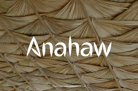 Anahaw Typeface - Fonts