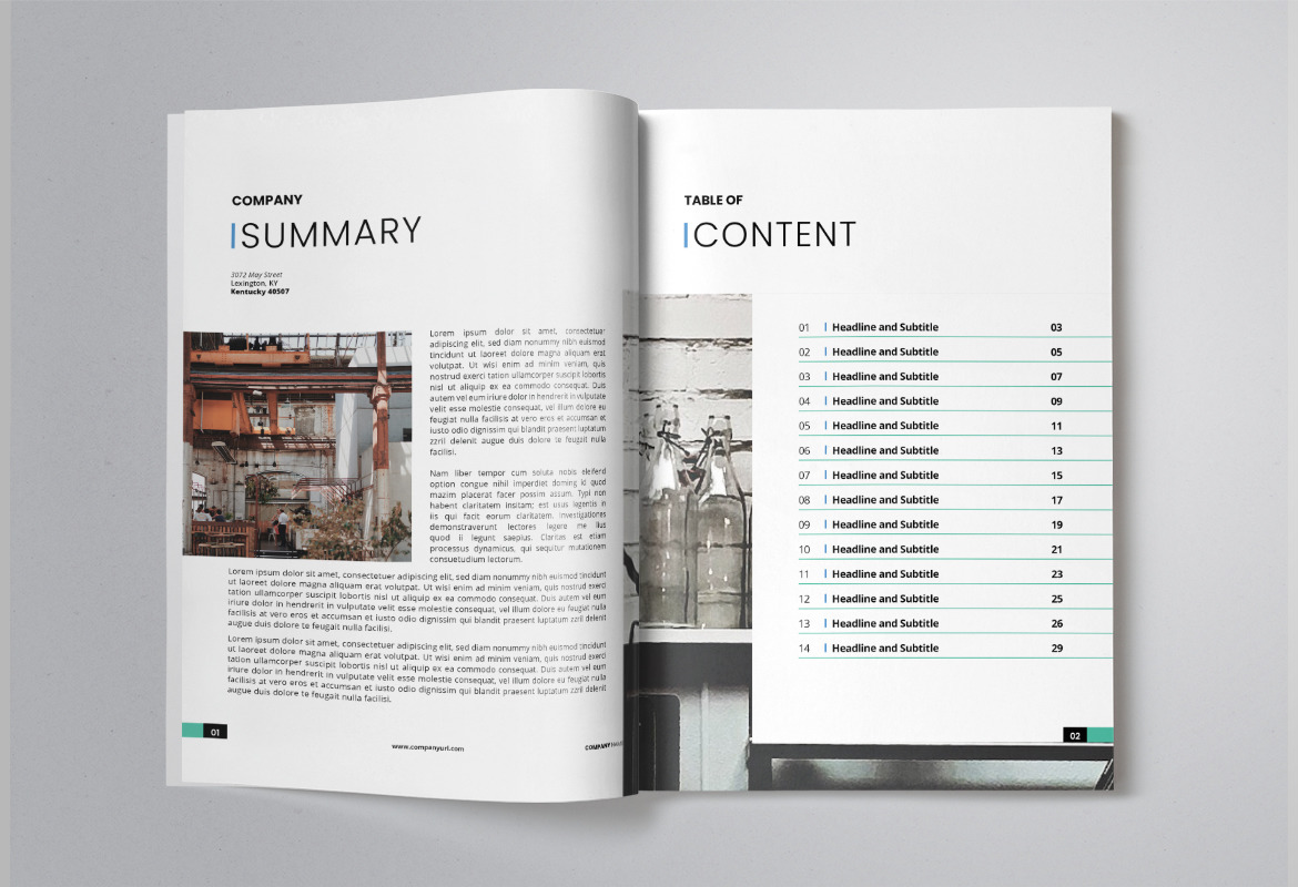 Company Business Annual Report Template