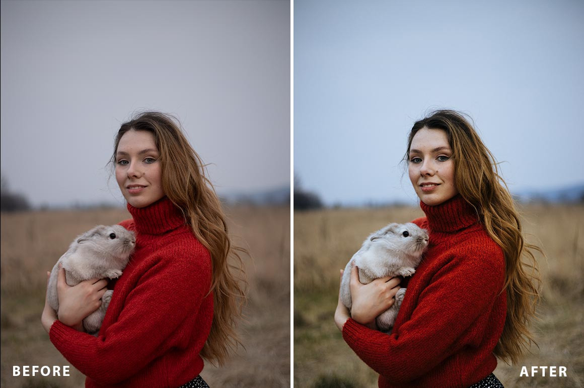 Cinematic Presets for Adobe Lightroom Cinematic Presets for Adobe Lightroom