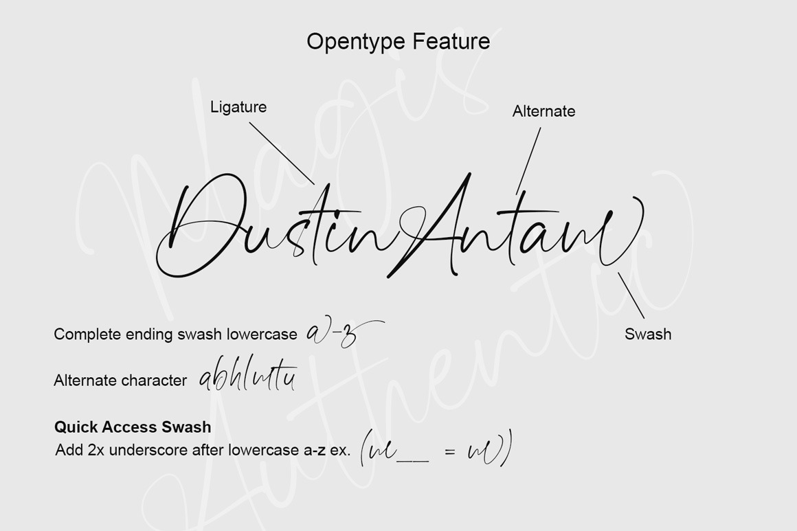 Magis Authentic - Signature Font Magis Authentic - Signature Font
